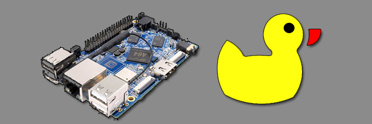 Orange Pi ve Dinamik DNS İle Evden Web Yayını	